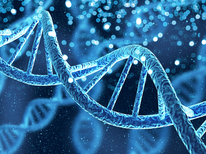 What do we learn from an ancient Egyptian’s DNA?